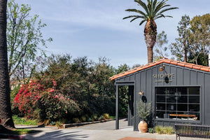 Darya Swan Neck Bathroom Wall Light 32cm IP65 - View 5