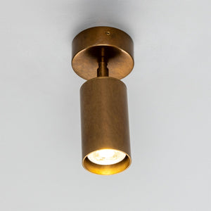 Evanston Directional Brass Ceiling Spotlight - View 1