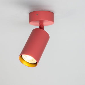 Evanston Directional Brass Ceiling Spotlight - View 18