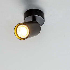 Evanston Directional Brass Ceiling Spotlight - View 14