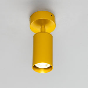 Evanston Directional Brass Ceiling Spotlight - View 23