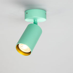 Evanston Directional Brass Ceiling Spotlight - View 26