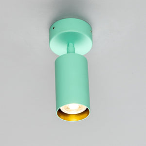 Evanston Directional Brass Ceiling Spotlight - View 27