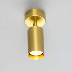 Evanston Directional Brass Ceiling Spotlight - View 10