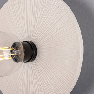 Bog Oak Organic Ceramic Disc Wall Light, Matte White Striped - View 5