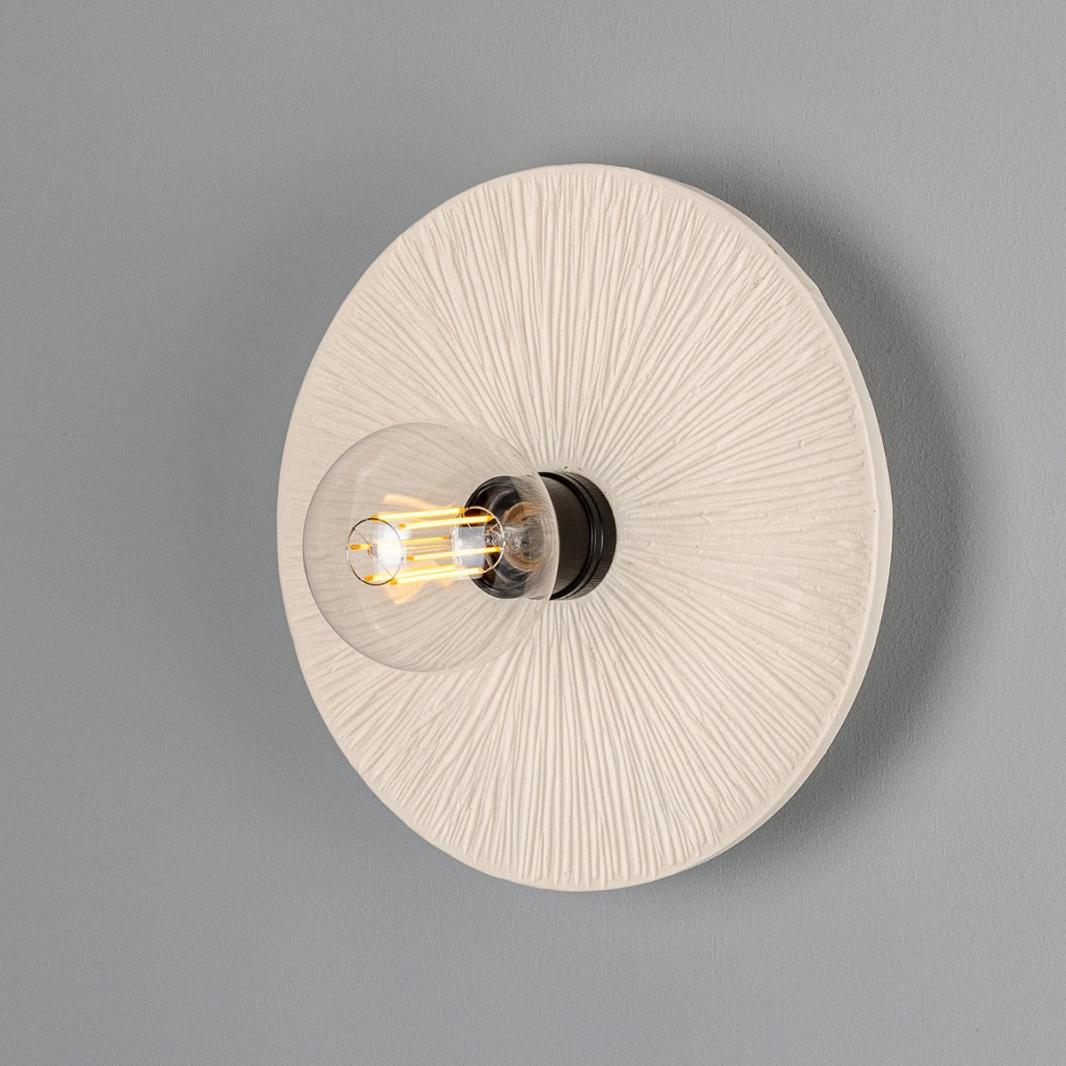 Bog Oak Organic Ceramic Disc Wall Light, Matte White Striped - Main View