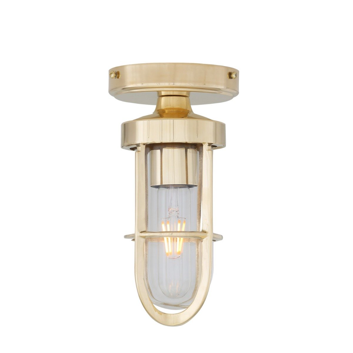 Oregon A cage well glass ceiling light IP65 - Main View