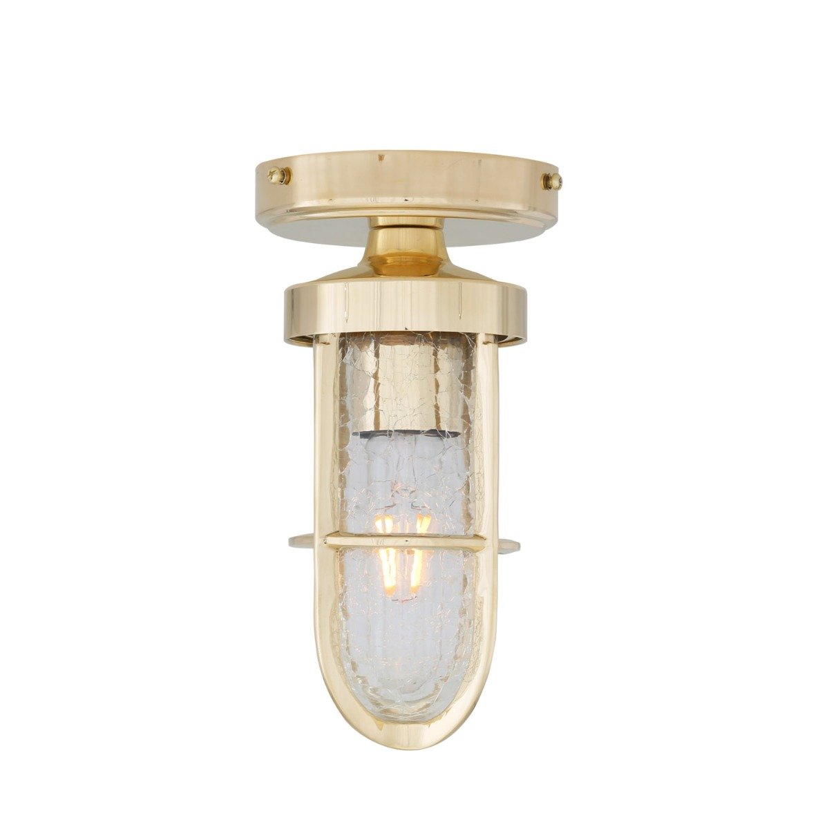 Oregon A cage well glass ceiling light IP65 - View 2