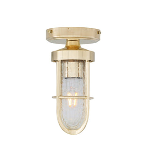 Oregon A cage well glass ceiling light IP65 - View 2
