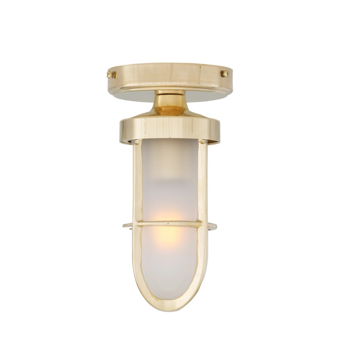 Oregon A cage well glass ceiling light IP65 - View 3