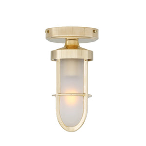 Oregon A cage well glass ceiling light IP65 - View 3