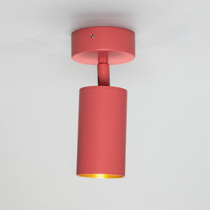 Evanston Directional Brass Ceiling Spotlight - View 20