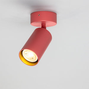 Evanston Directional Brass Ceiling Spotlight - View 17