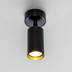 Evanston Directional Brass Ceiling Spotlight - View 15