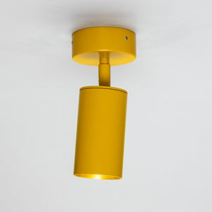 Evanston Directional Brass Ceiling Spotlight - View 24