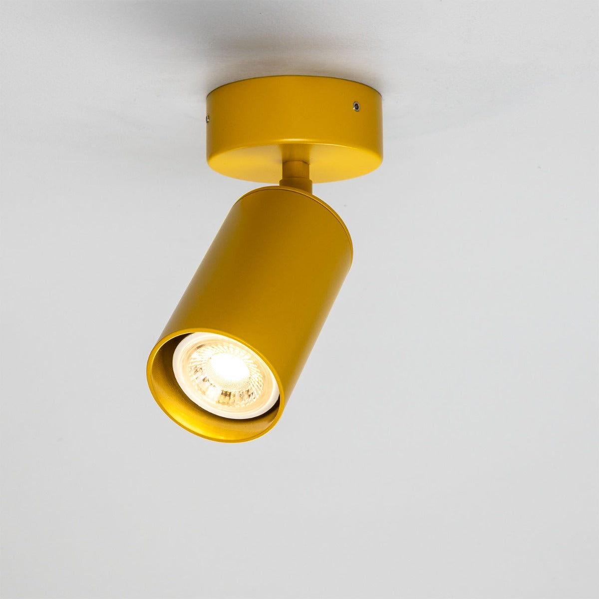 Evanston Directional Brass Ceiling Spotlight - View 21