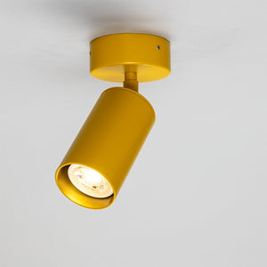 Evanston Directional Brass Ceiling Spotlight - View 22