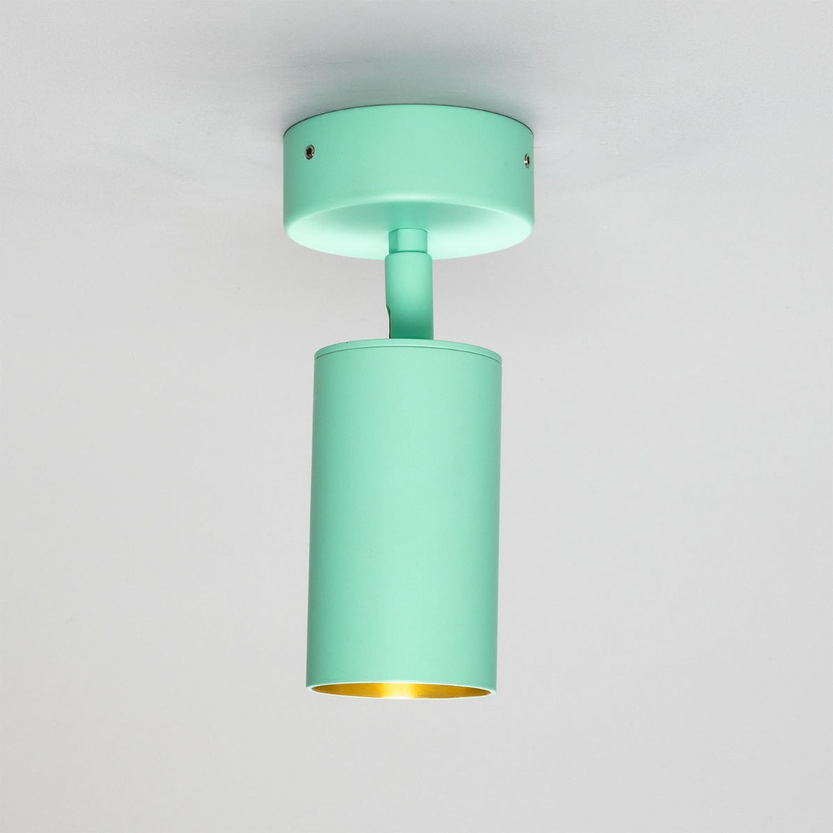 Evanston Directional Brass Ceiling Spotlight - View 28