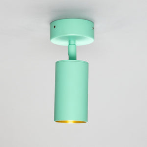 Evanston Directional Brass Ceiling Spotlight - View 28