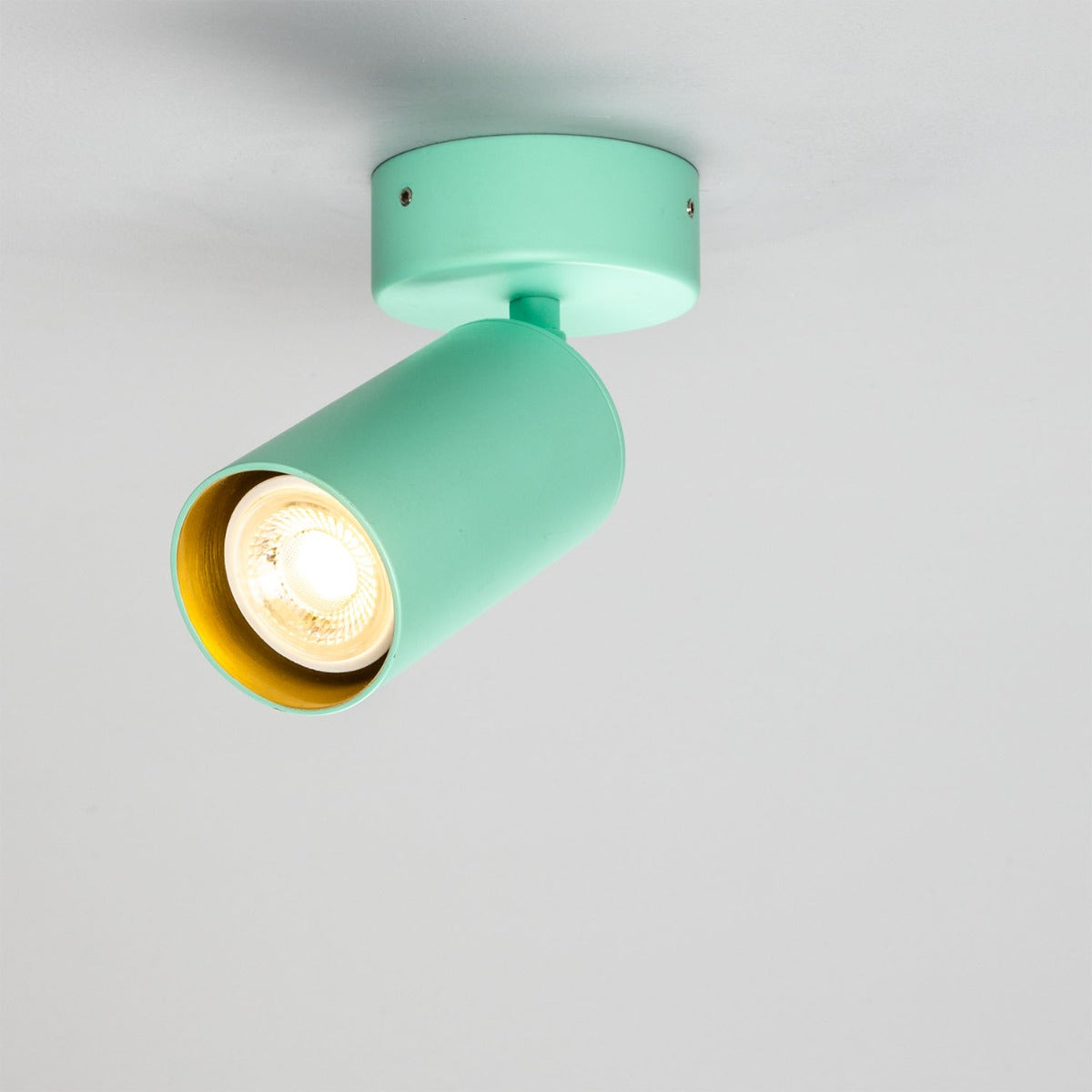 Evanston Directional Brass Ceiling Spotlight - View 25