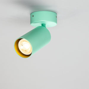 Evanston Directional Brass Ceiling Spotlight - View 25