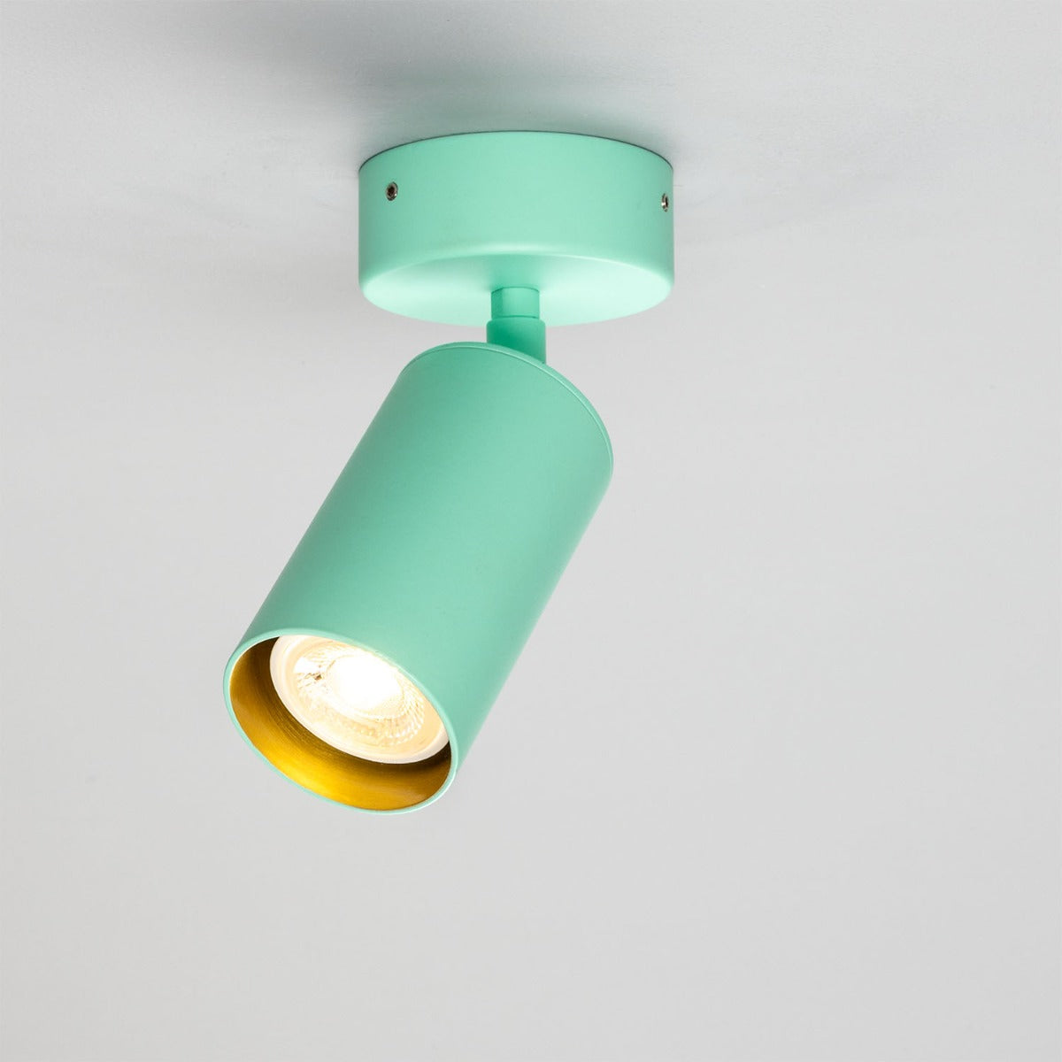 Evanston Directional Brass Ceiling Spotlight - View 26