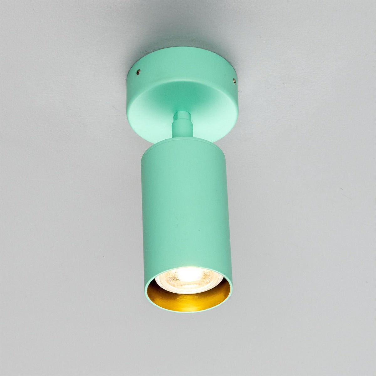 Evanston Directional Brass Ceiling Spotlight - View 27