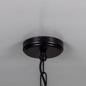 Portroe Indoor Hanging Pendant Lantern, 4-6 Light - View 5